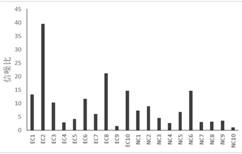 Application of PAIP1 autoantibody in auxiliary diagnosis of esophageal squamous carcinoma