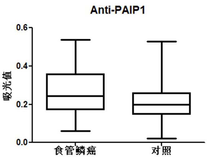 Application of PAIP1 autoantibody in auxiliary diagnosis of esophageal squamous carcinoma