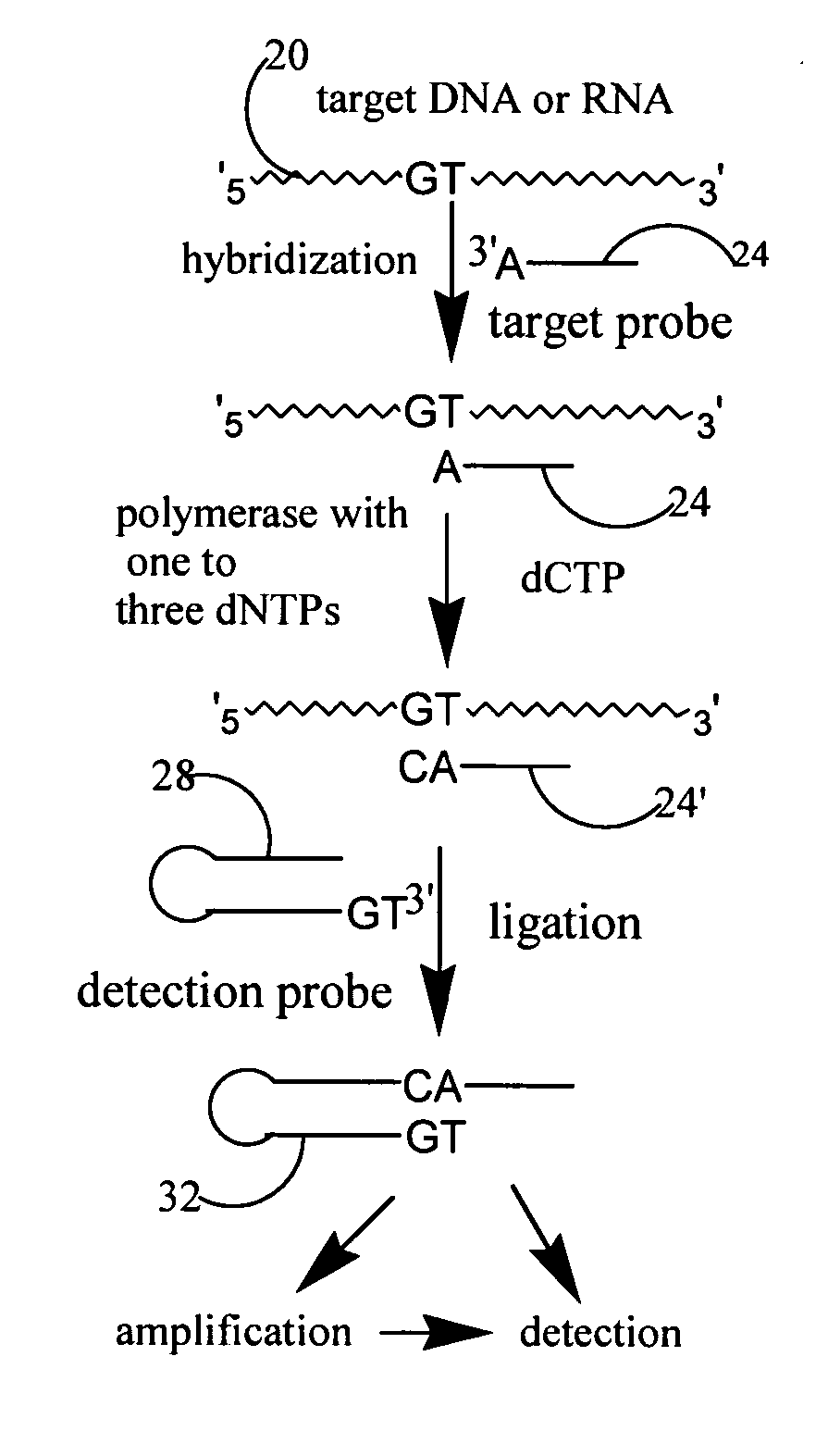 Method and kit for nucleic acid sequence detection