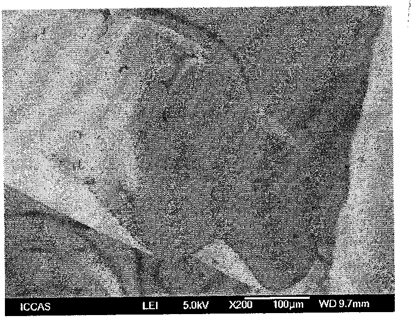 Preparation method of polyacrylonitrile precursor