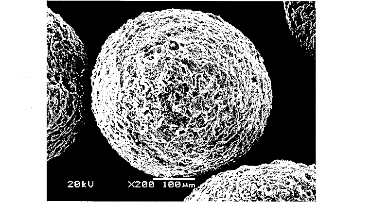 Multi-core adhesive microspheres for loading water soluble low molecular medicament and preparation method thereof