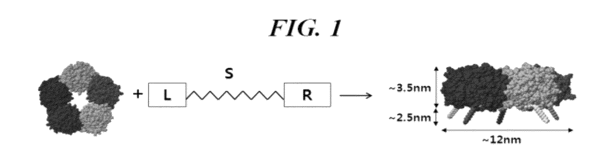 Molecularly imprinted polymer for detecting the pentraxin, and method for preparing same