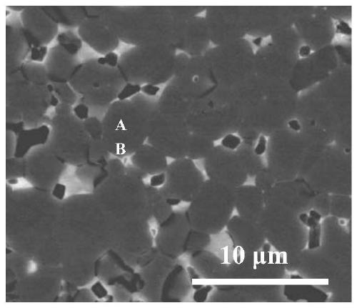 A kind of y-containing high-abundance rare earth permanent magnet and its preparation method