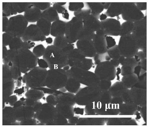 A kind of y-containing high-abundance rare earth permanent magnet and its preparation method