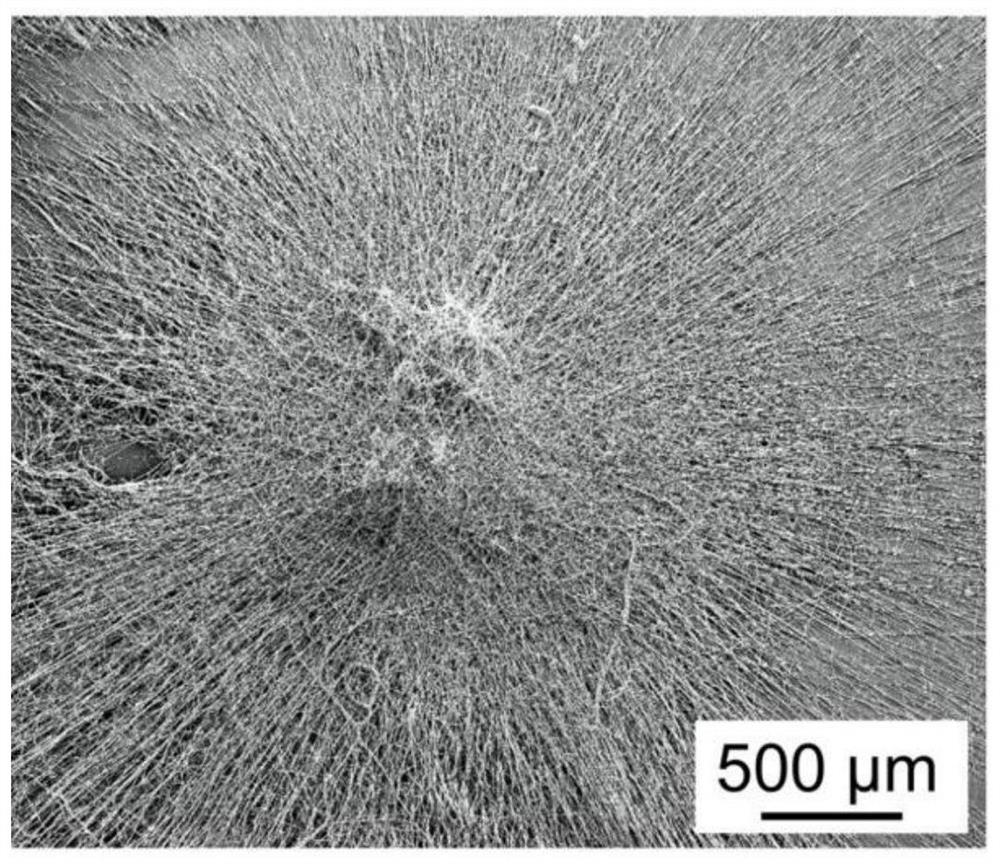 Fiber wound repair scaffold loaded with phase change material particles and its preparation method and application