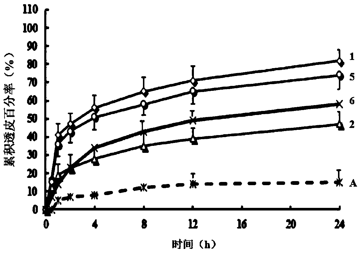 A kind of external preparation containing vitamin K1 and preparation method thereof