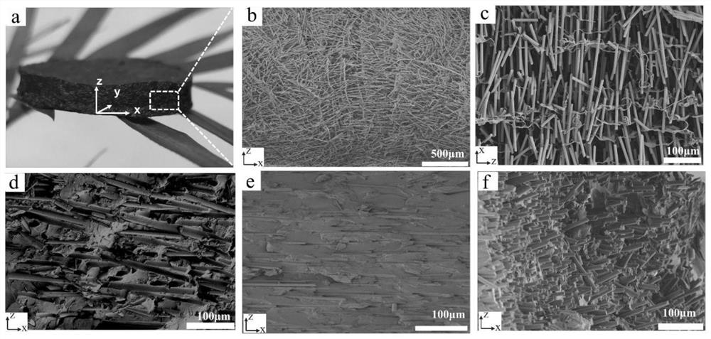 Three-dimensional ordered controllable carbon fiber heat-conducting composite material and preparation method thereof