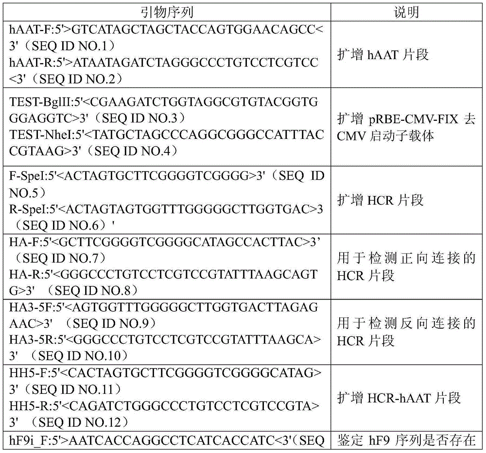 A kind of prbe-hcr-haat-hfixml plasmid and its construction and application