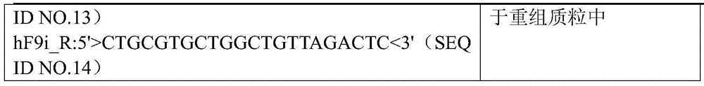 A kind of prbe-hcr-haat-hfixml plasmid and its construction and application