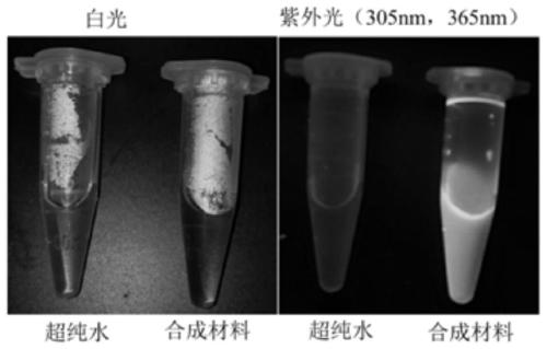 A kind of carbon quantum dot nano material and its preparation method and application