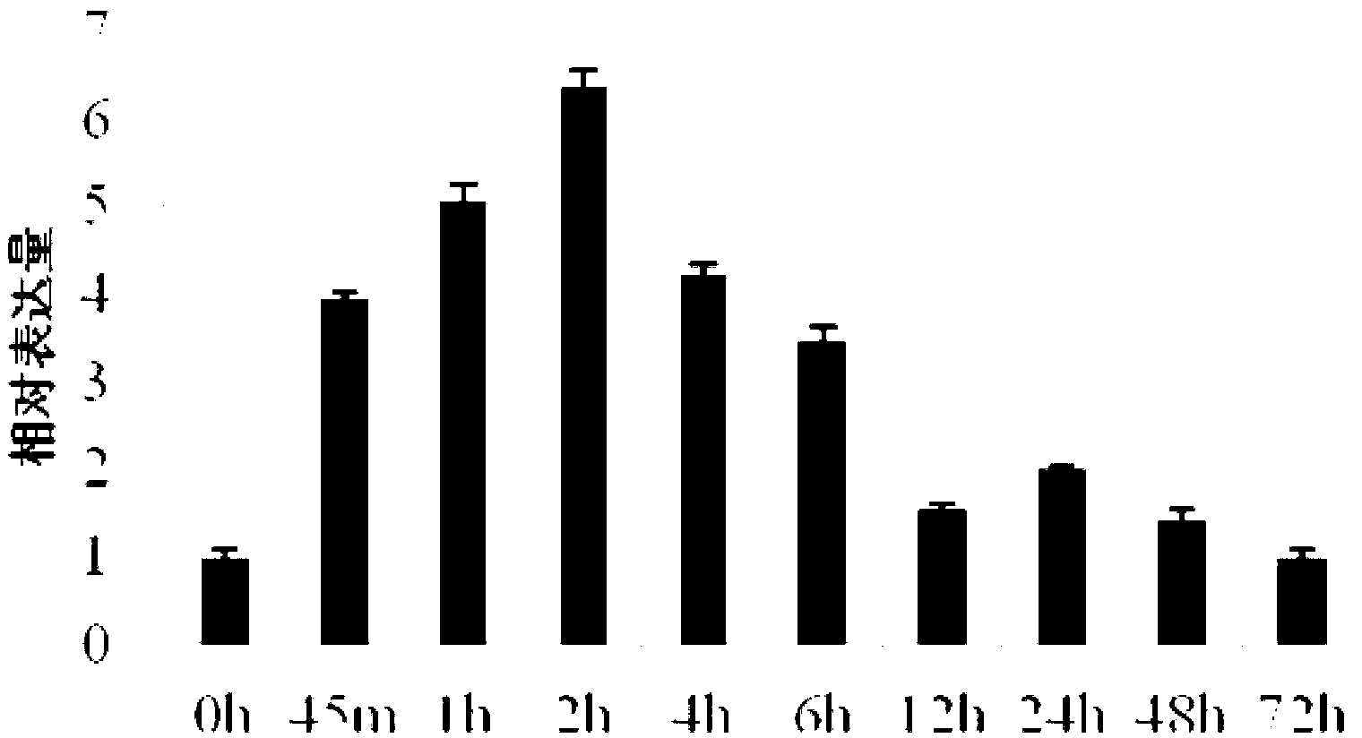 Haynaldia villosa metal transport protein gene, protein coded by haynaldia villosa metal transport protein gene and application of haynaldia villosa metal transport protein gene