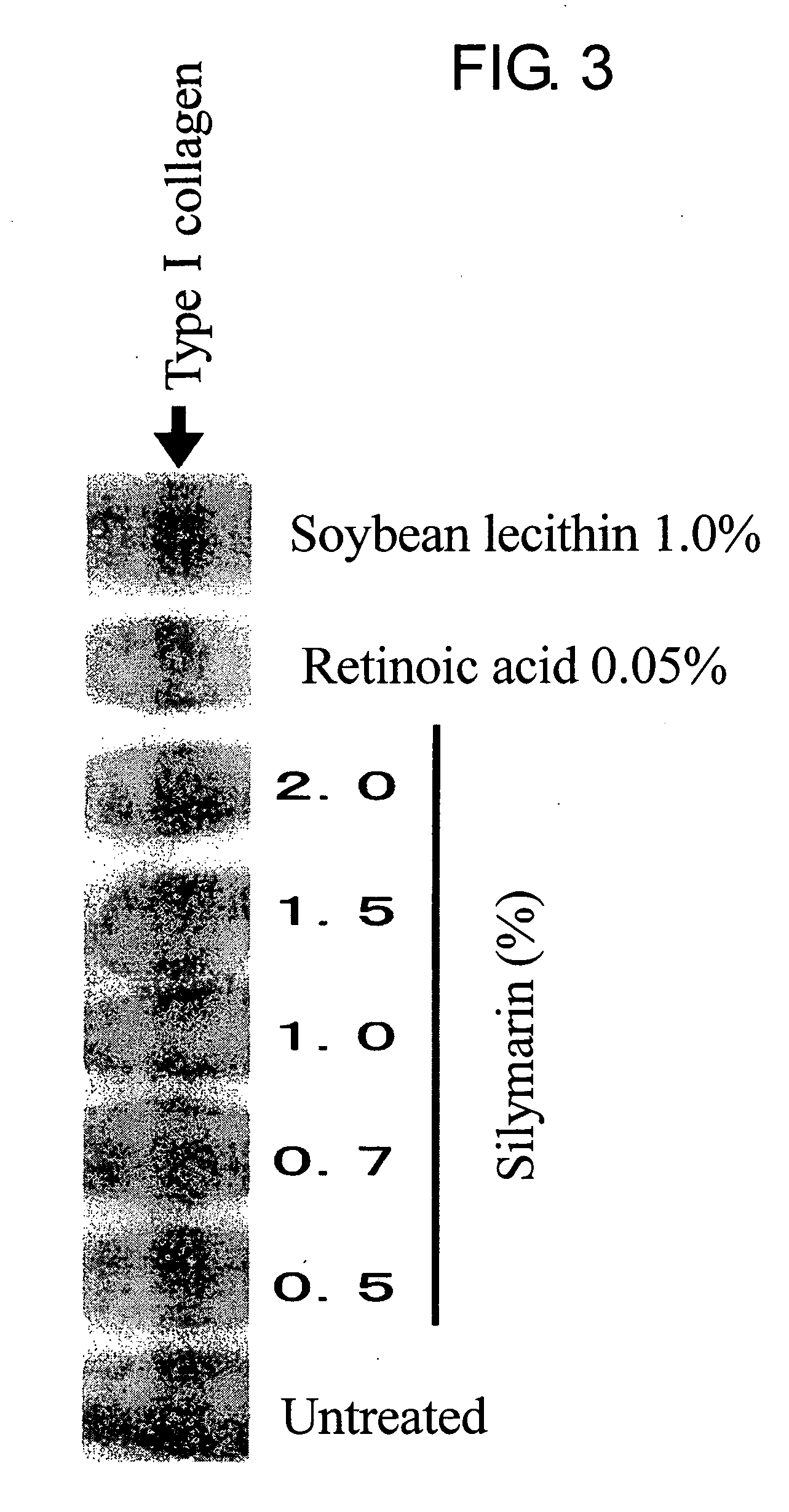 Composition for promoting production of type 1 collagen and/or elastin
