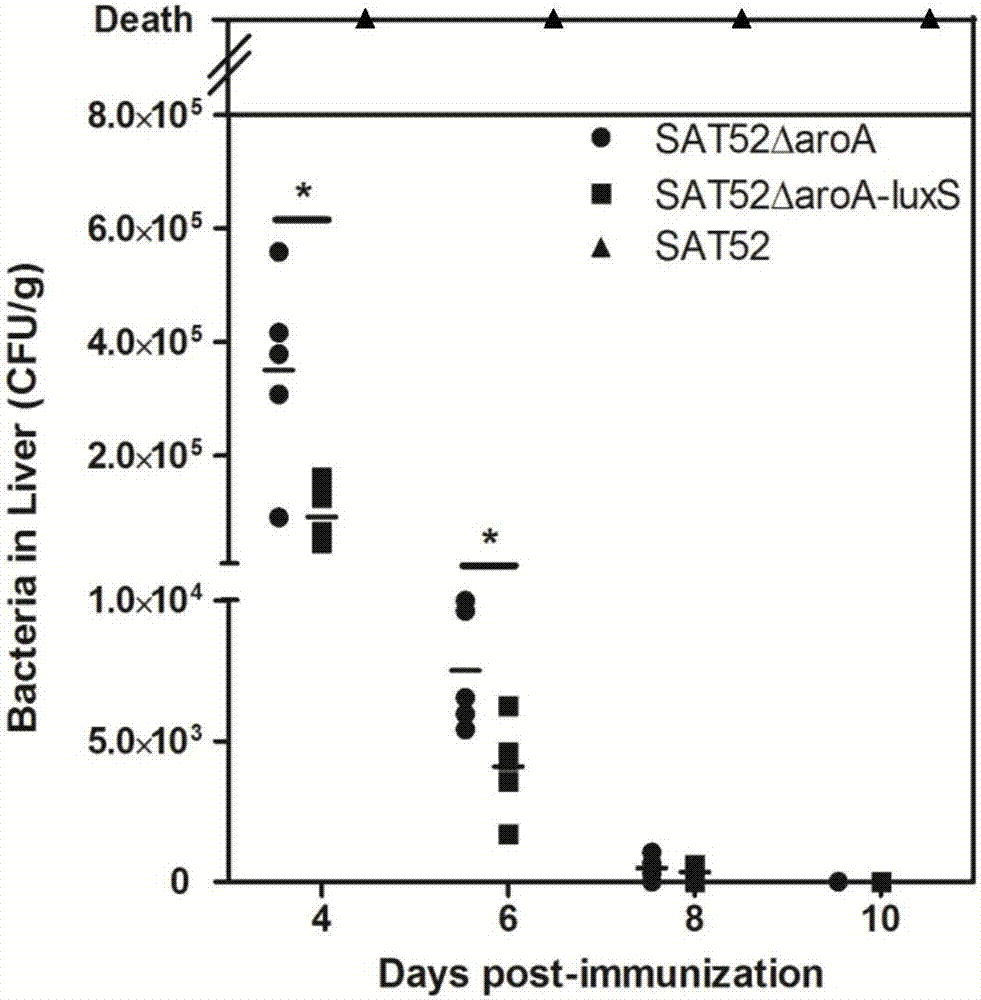 Salmonella typhimurium aroA and luxS double-gene-deleted strain and attenuated vaccine prepared by same