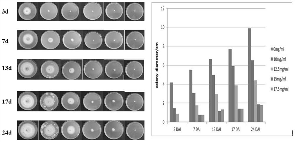 Aspergillus terreus strain SYAT-1 tolerant to saline and alkaline and resistant to pathogenic fungi and application of aspergillus terreus strain SYAT-1