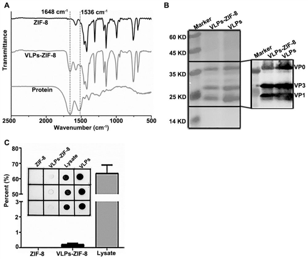 Method for improving thermal stability of virus-like particles based on metal organic framework biomimetic mineralization