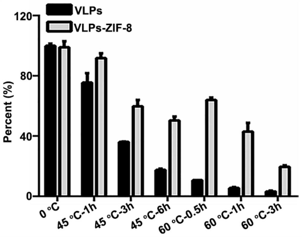 Method for improving thermal stability of virus-like particles based on metal organic framework biomimetic mineralization