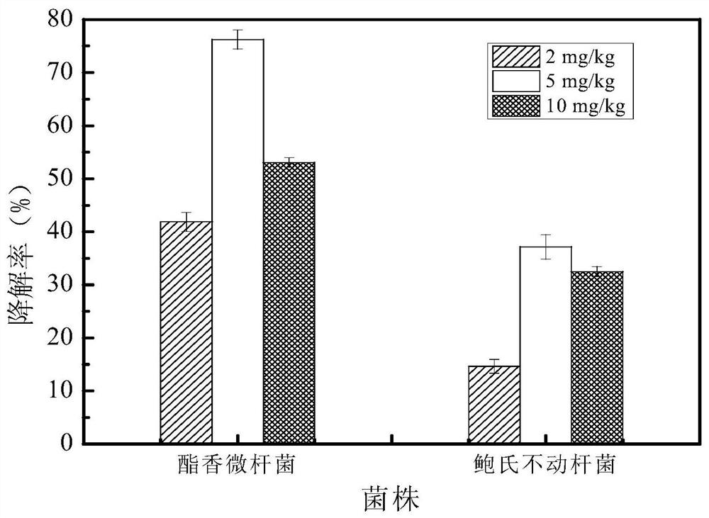 A strain of Microbacterium asterifera that efficiently degrades fenvalerate and its application