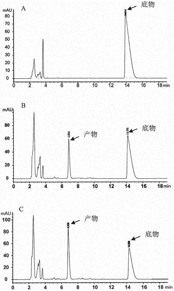 Cytochrome P450 enzyme, construction for electron transfer system engineering bacteria thereof and application thereof