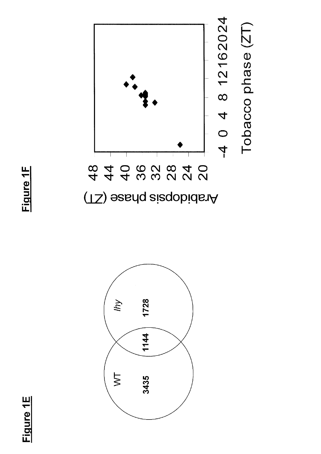 Transgenic plants having altered lignin density