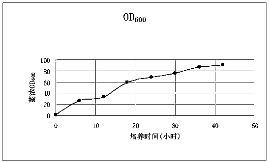 Compound microbial agent solid particle product for environment protection and preparation method thereof