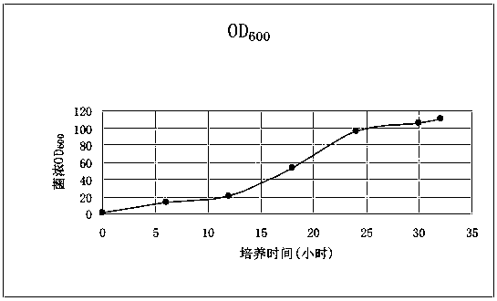 Compound microbial agent solid particle product for environment protection and preparation method thereof
