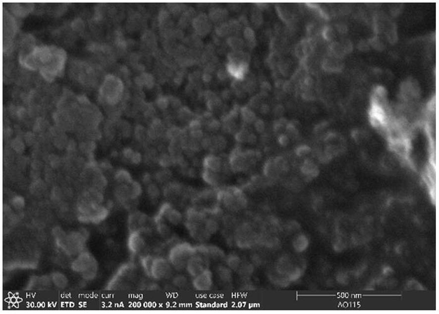 Preparation method and application of iodide ion doping modified fe-mof bulk electrode material
