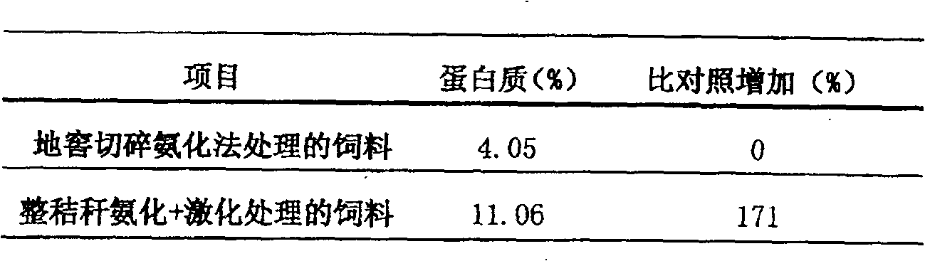 Activator for preparing high-protein integral stalk ammonating feed