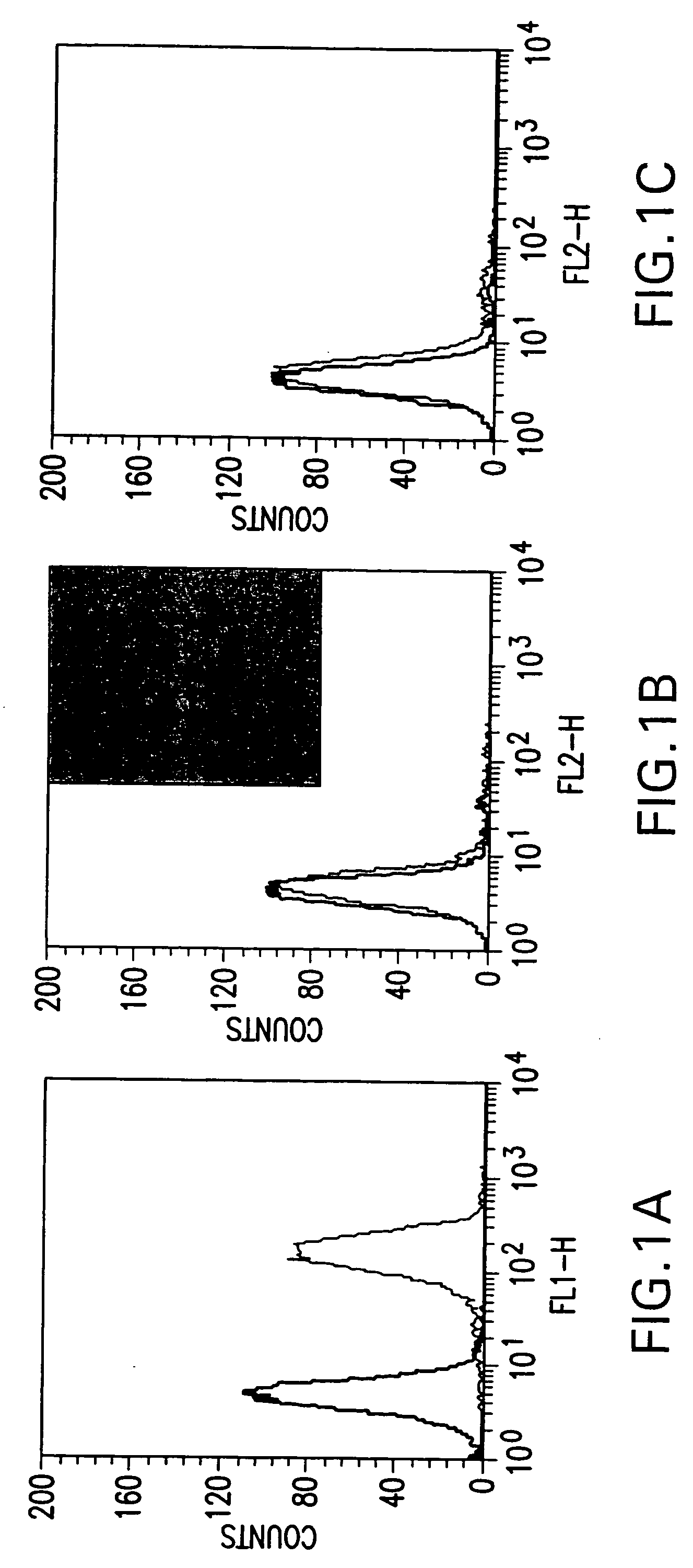 Tumor-targeted drug delivery systems and uses thereof