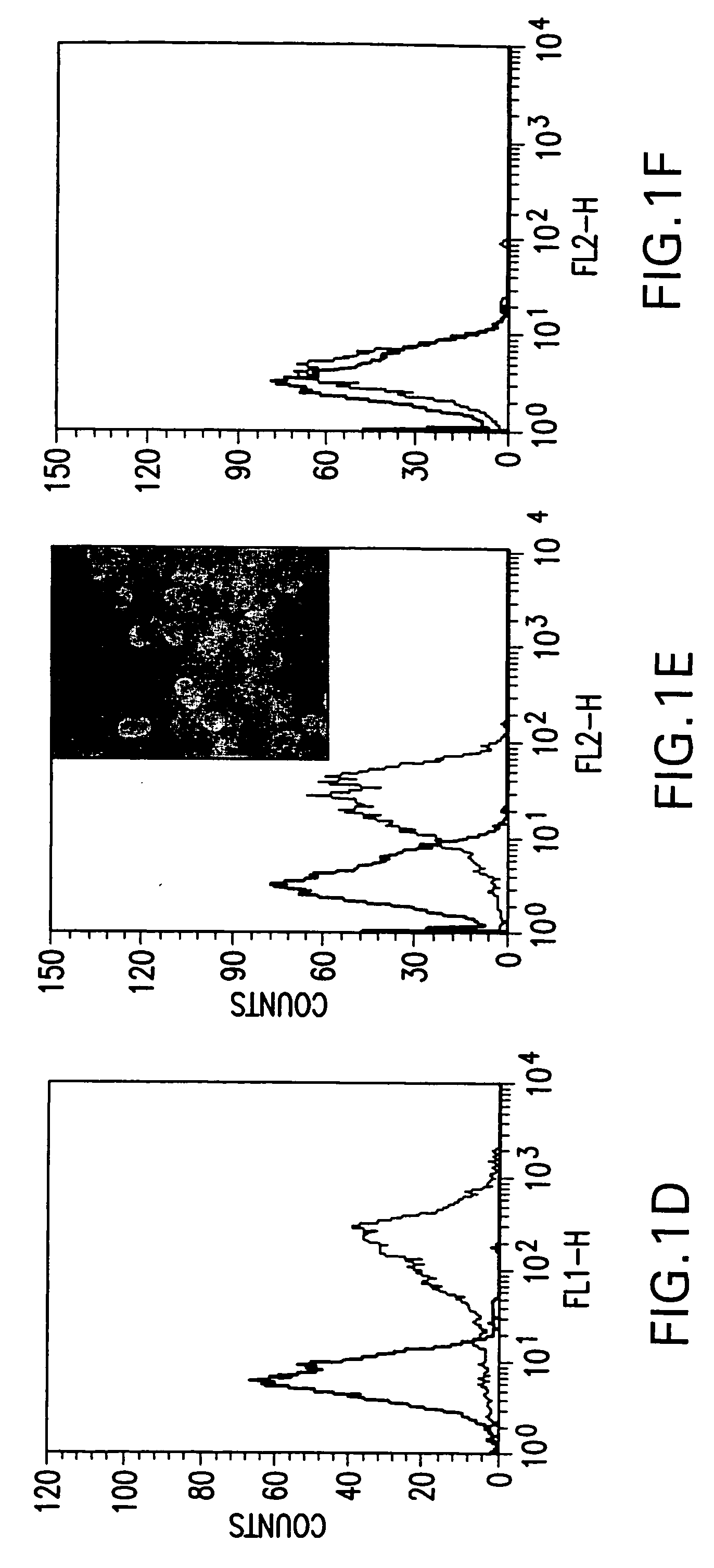 Tumor-targeted drug delivery systems and uses thereof