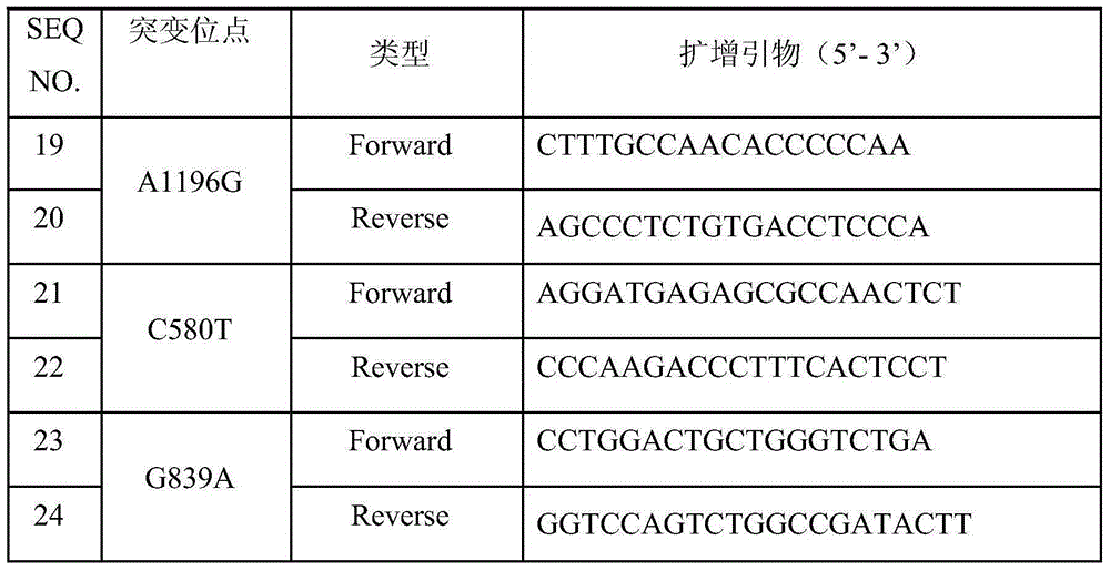 XRCC1 (X-Ray Repair Cross-Complementing Gene 1) gene mutation detection specific primer and liquid-phase chip kit