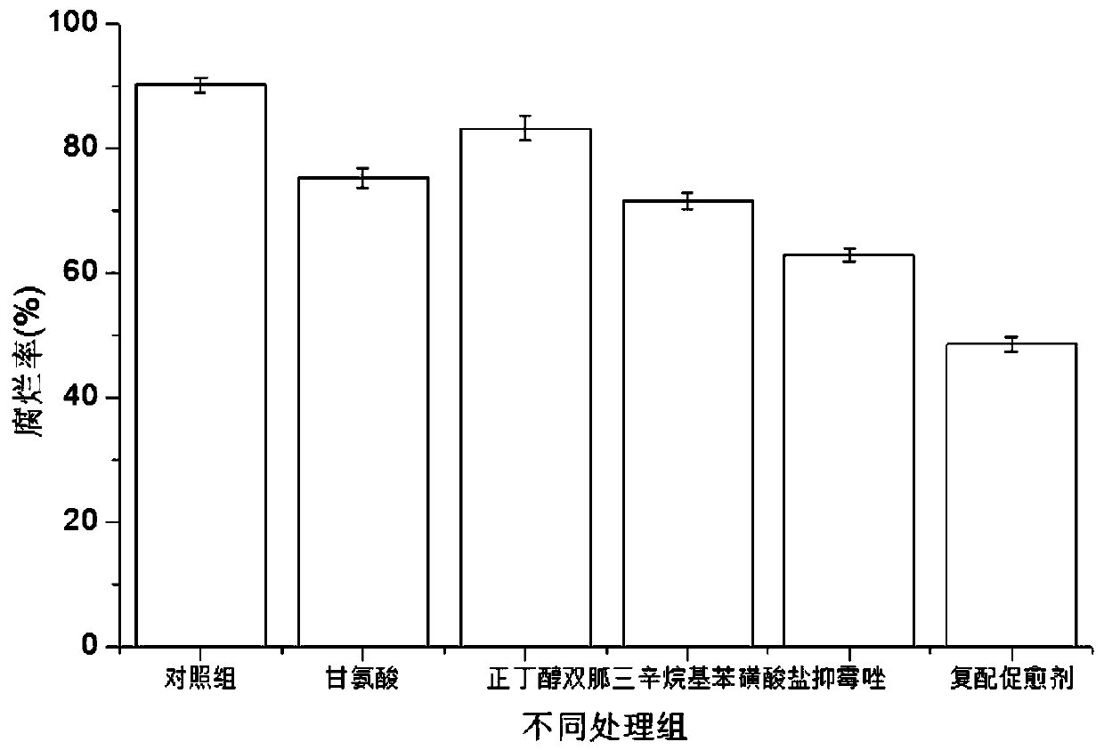 Healing agent for promoting fruit and vegetable mechanical injury wound healing, and use method and application of healing agent