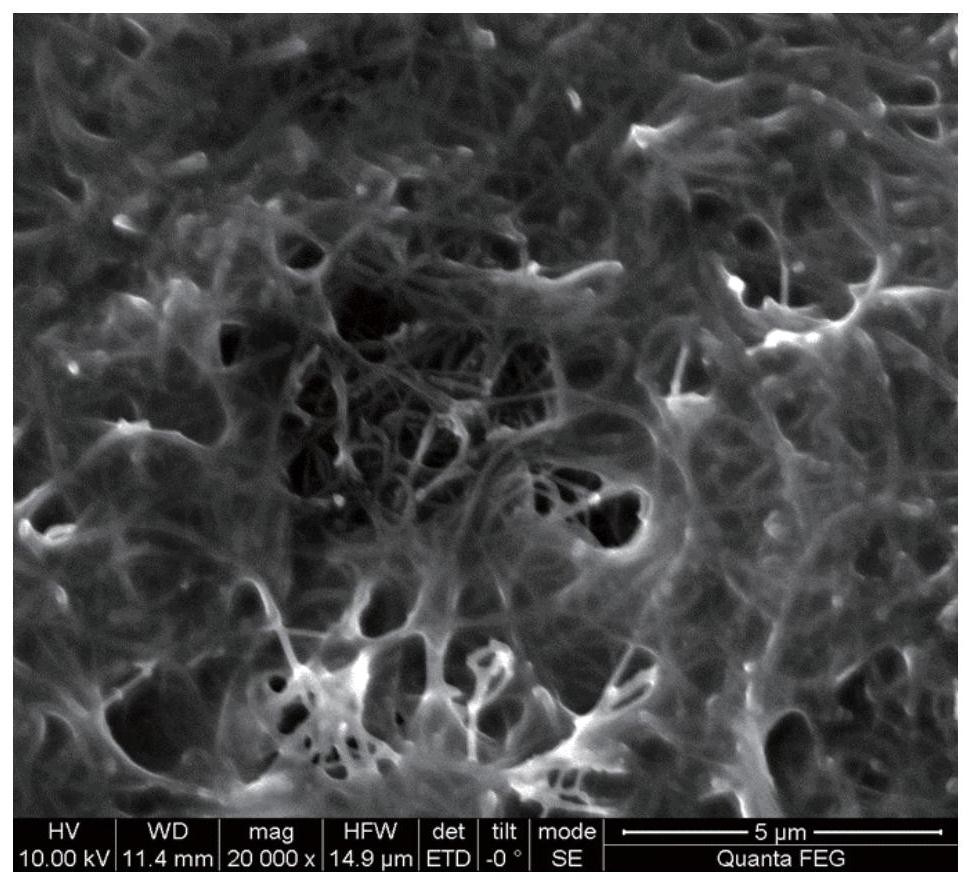 Shear thickening fluid/carbon nanotube foam shock-resistant energy-absorbing material, preparation method and application