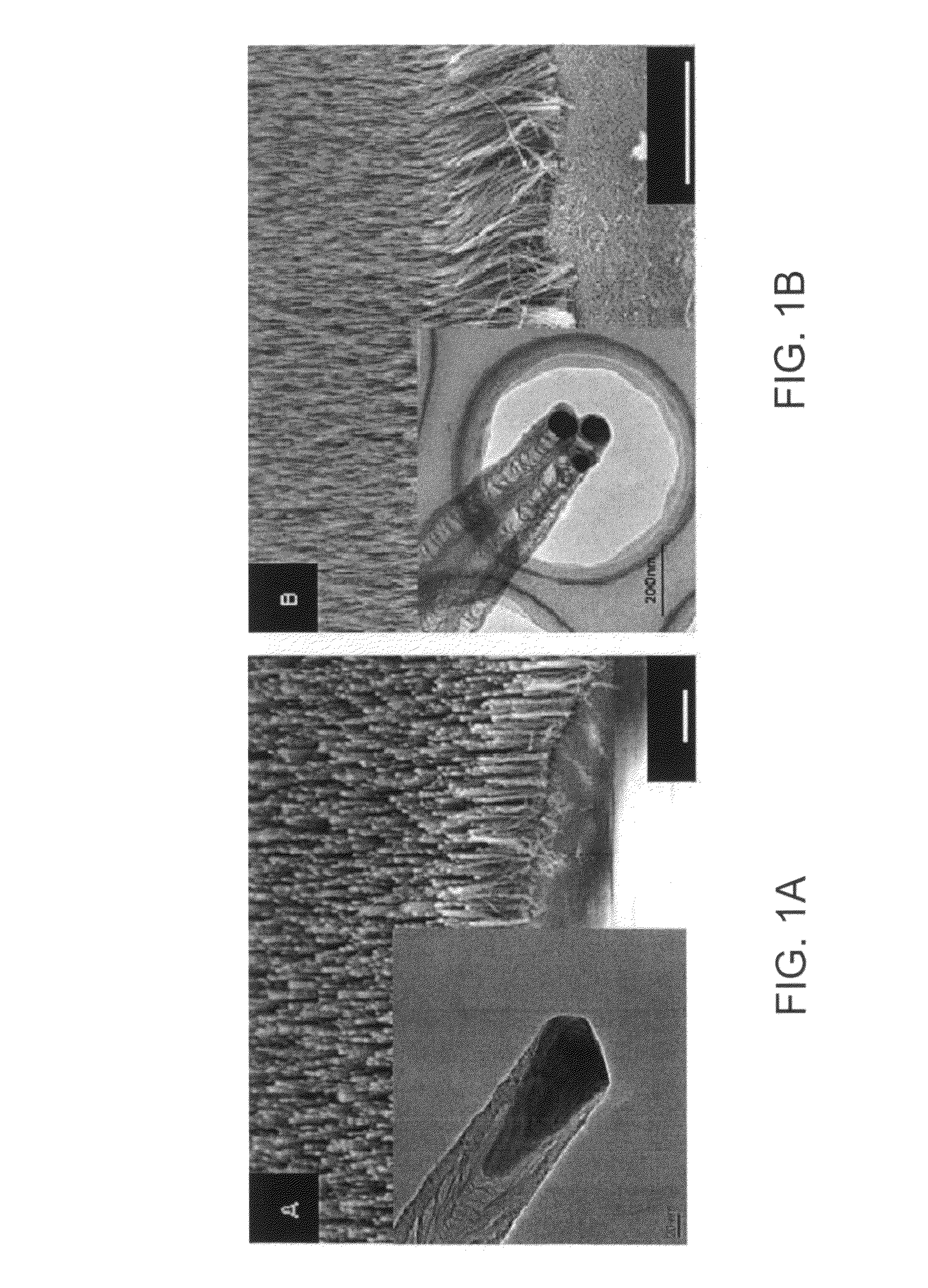 Nanospearing for molecular transportation into cells