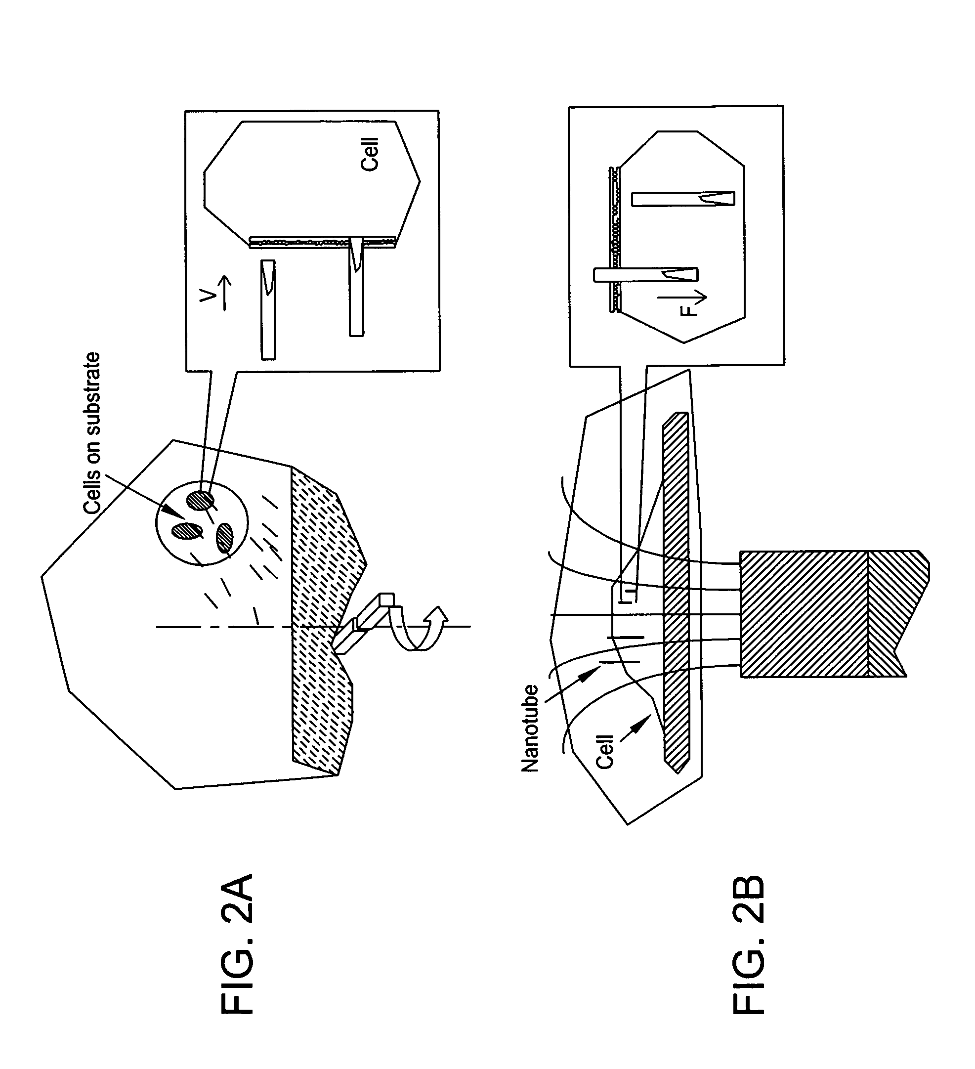 Nanospearing for molecular transportation into cells