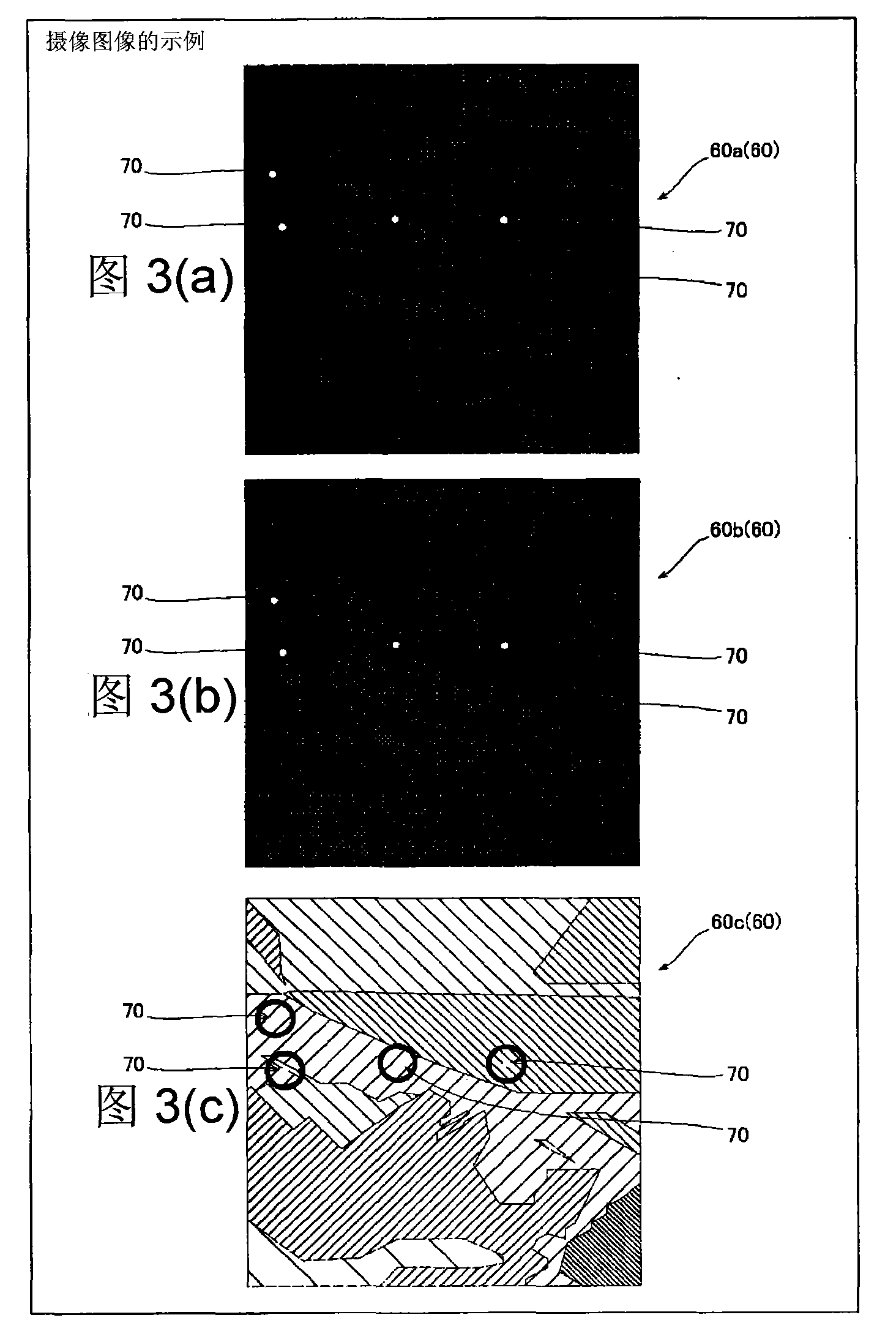 Inspection apparatus