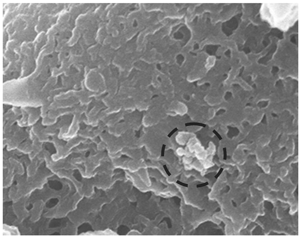 A kind of crude titanium tetrachloride stable compound organic matter for vanadium removal and preparation method thereof