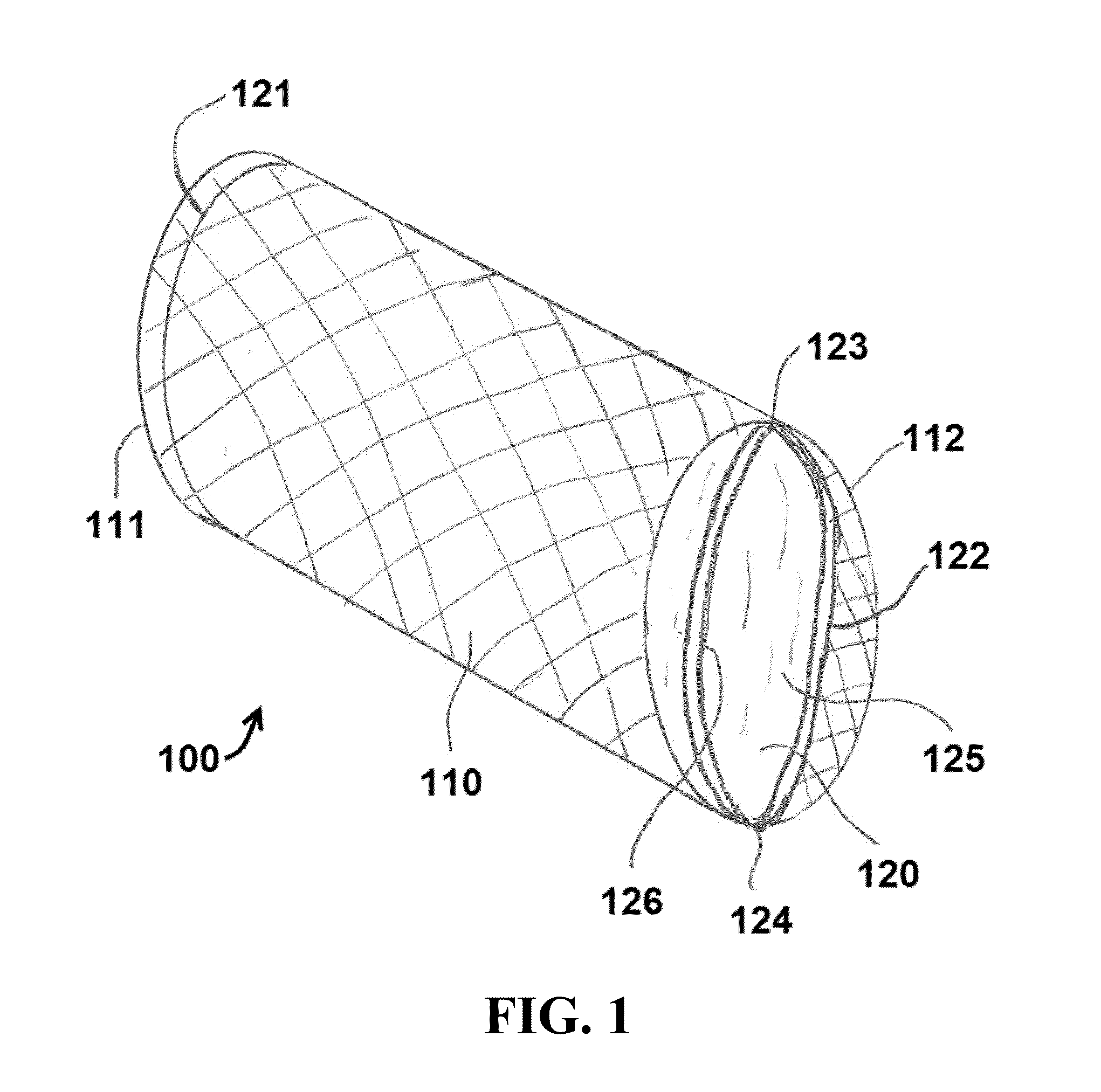 Systems and methods utilizing expandable transcatheter valve