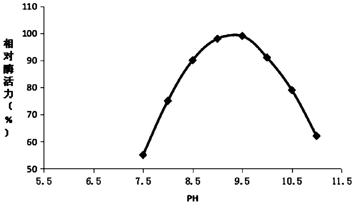 A strain of Pseudomonas with high lipase production and method for fermenting and producing enzyme