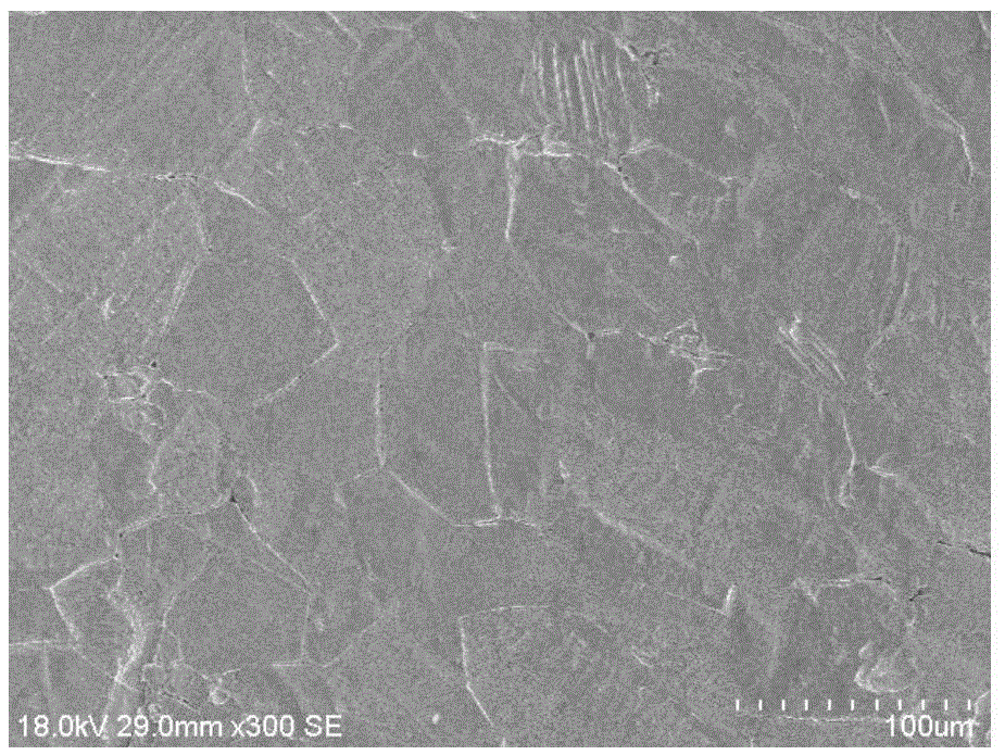 A kind of high-hardness solid gold material and its preparation method