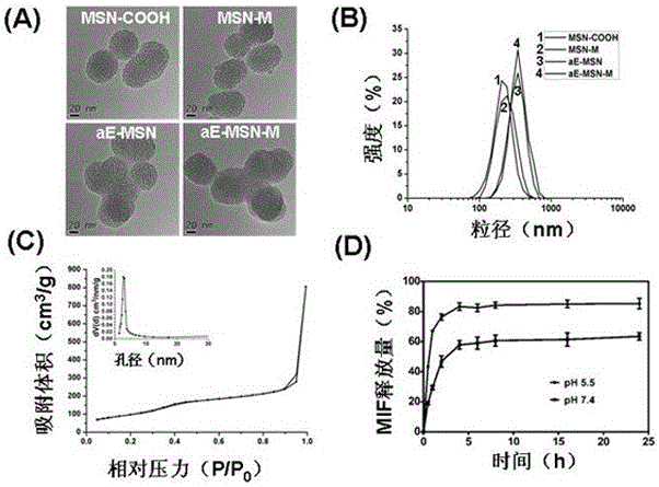 Antibody coupled mesoporous silica/mifepristone nanometer preparation