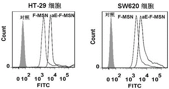 Antibody coupled mesoporous silica/mifepristone nanometer preparation