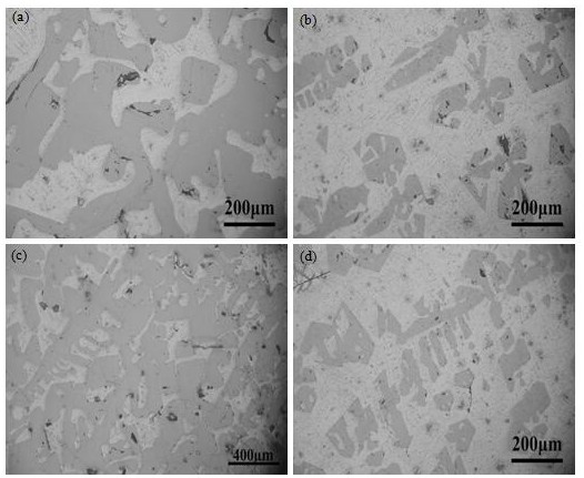 A kind of magnesium alloy with self-generated gradient structure and its preparation method and application