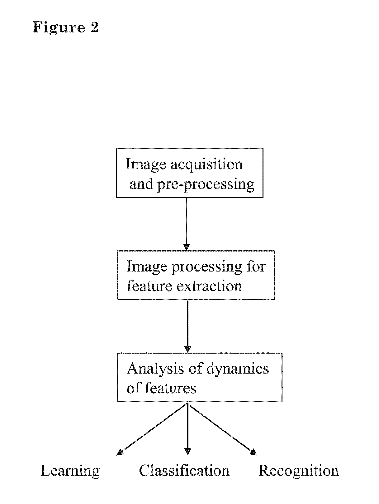 Method for using information in human shadows and their dynamics
