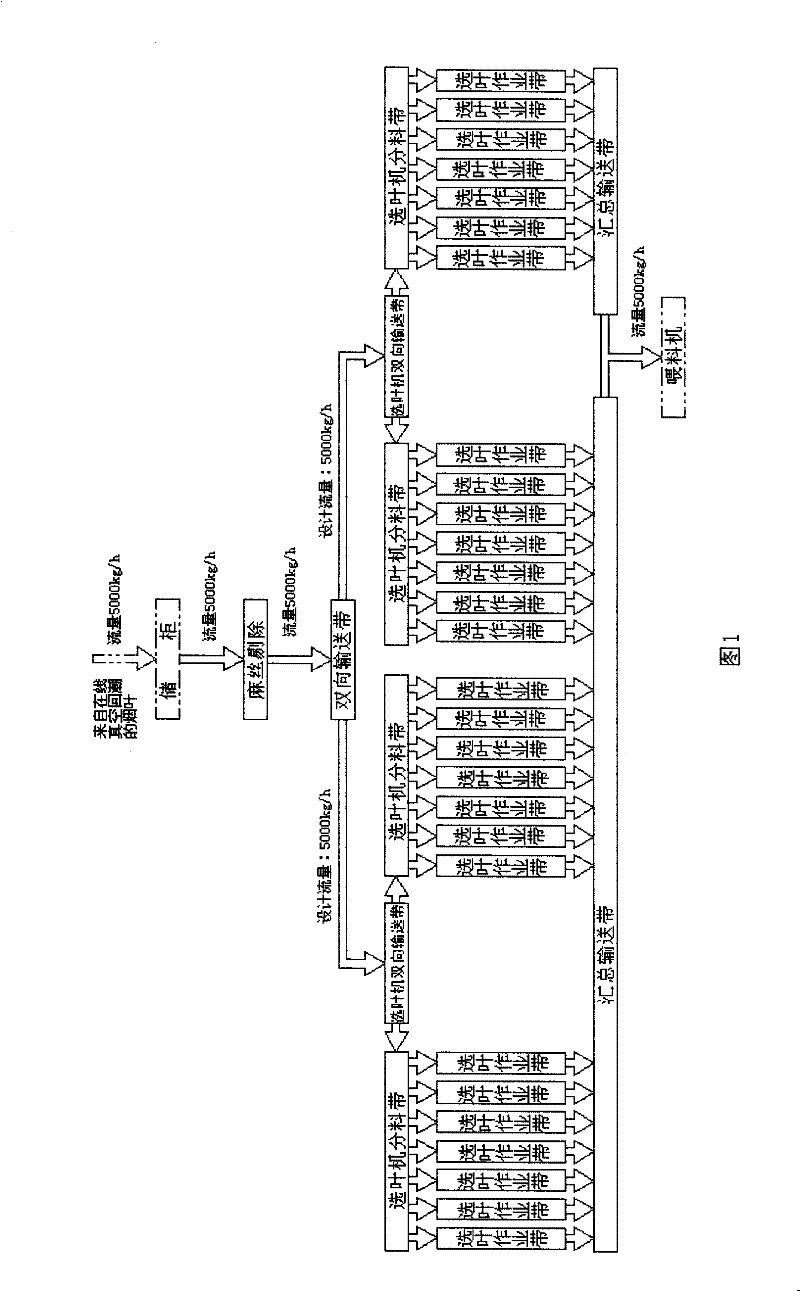 Tobacco sheet selecting system and technique of tobacco processing line