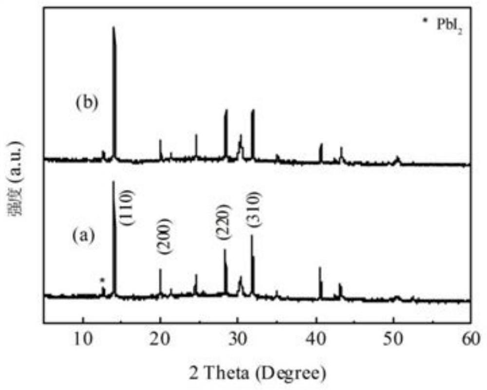 multi-site-amino-acid-passivation-material-perovskite-based-on-multi