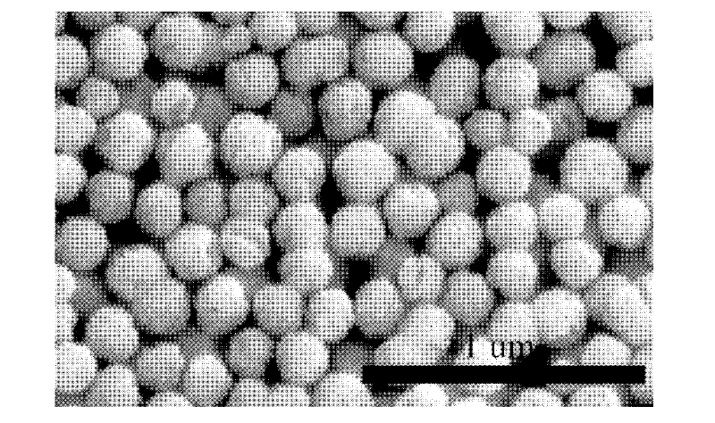 Preparation method of polyacrylic-acid modified water-soluble ferrite nano-cluster