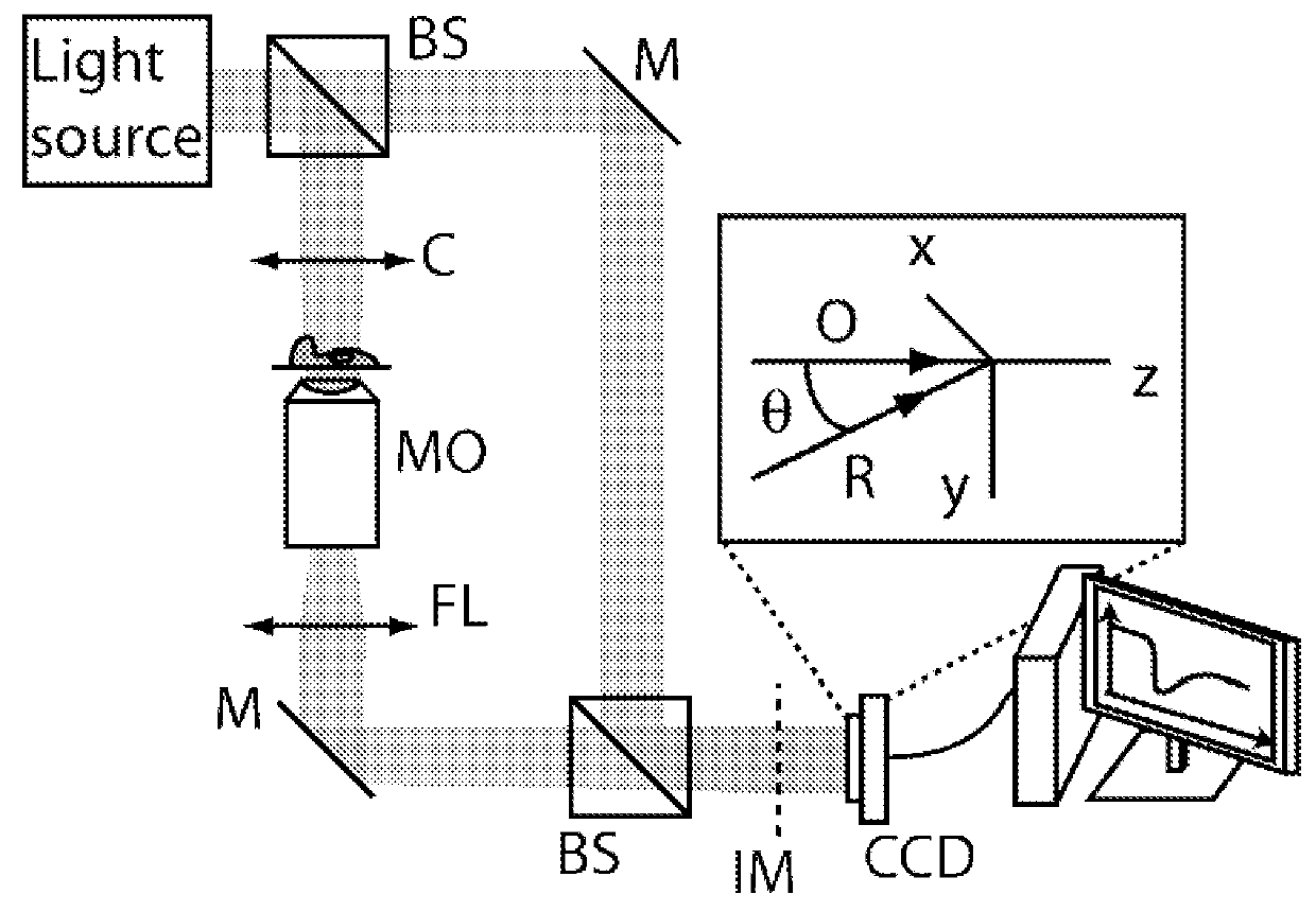 Method for monitoring cell viability