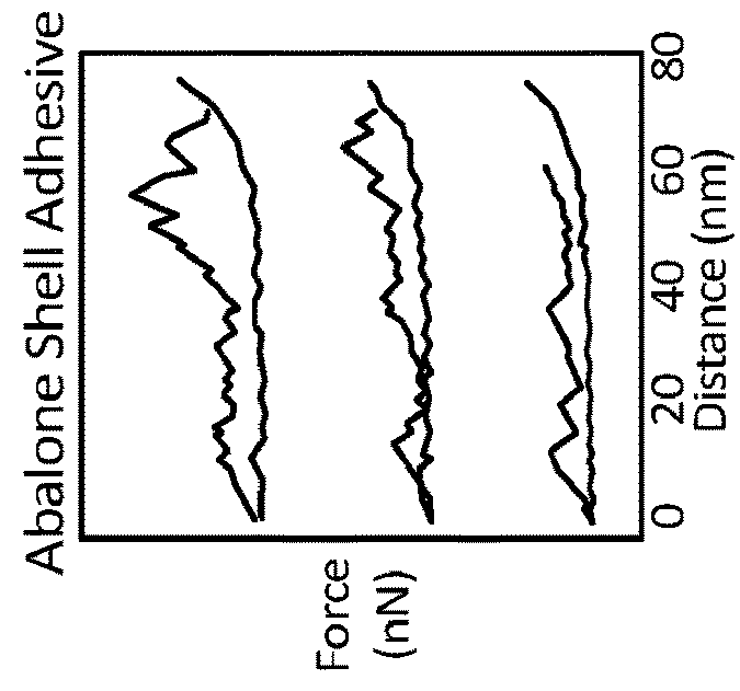 Control system and method for mitigating the effects of natural hazards