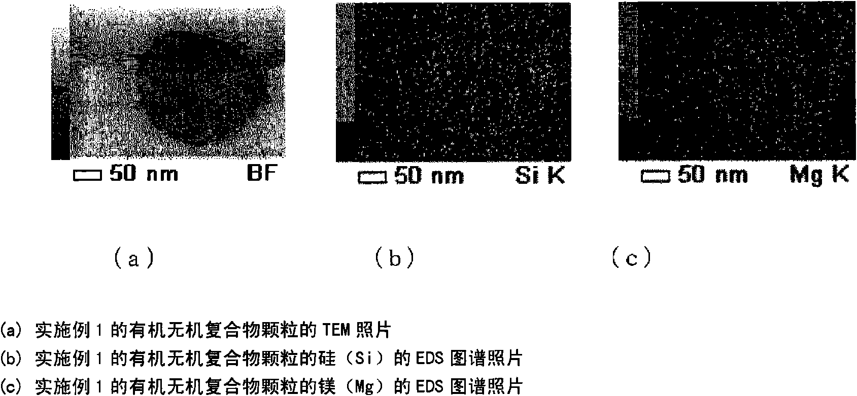 Organic-inorganic complex dispersion, cell culture substratum manufactured by using the dispersion, and manufacturing methods for same