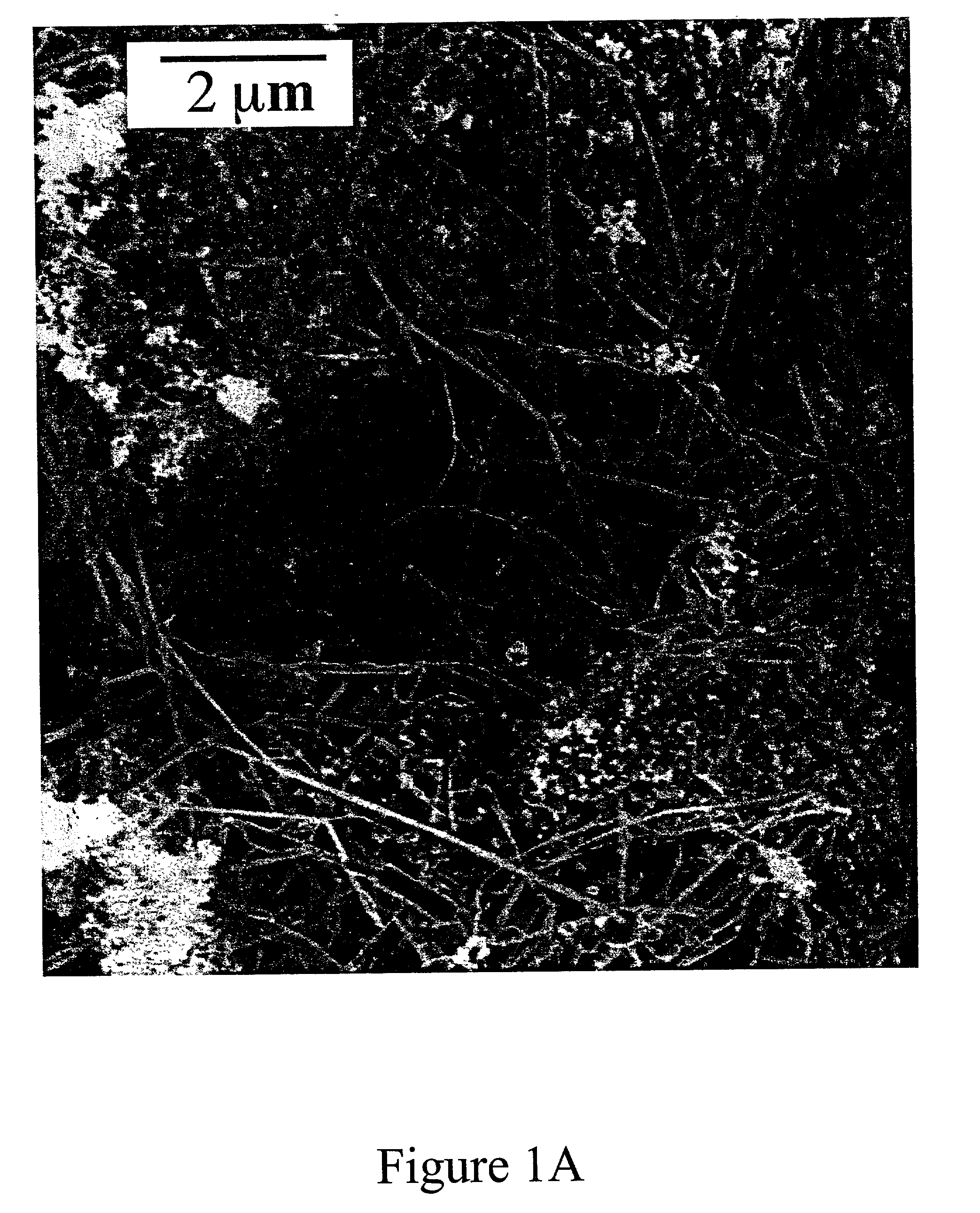 Carbon nanostructures and methods of preparation